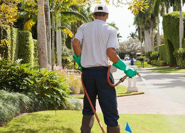 About Prairie Lea TX Pest Control